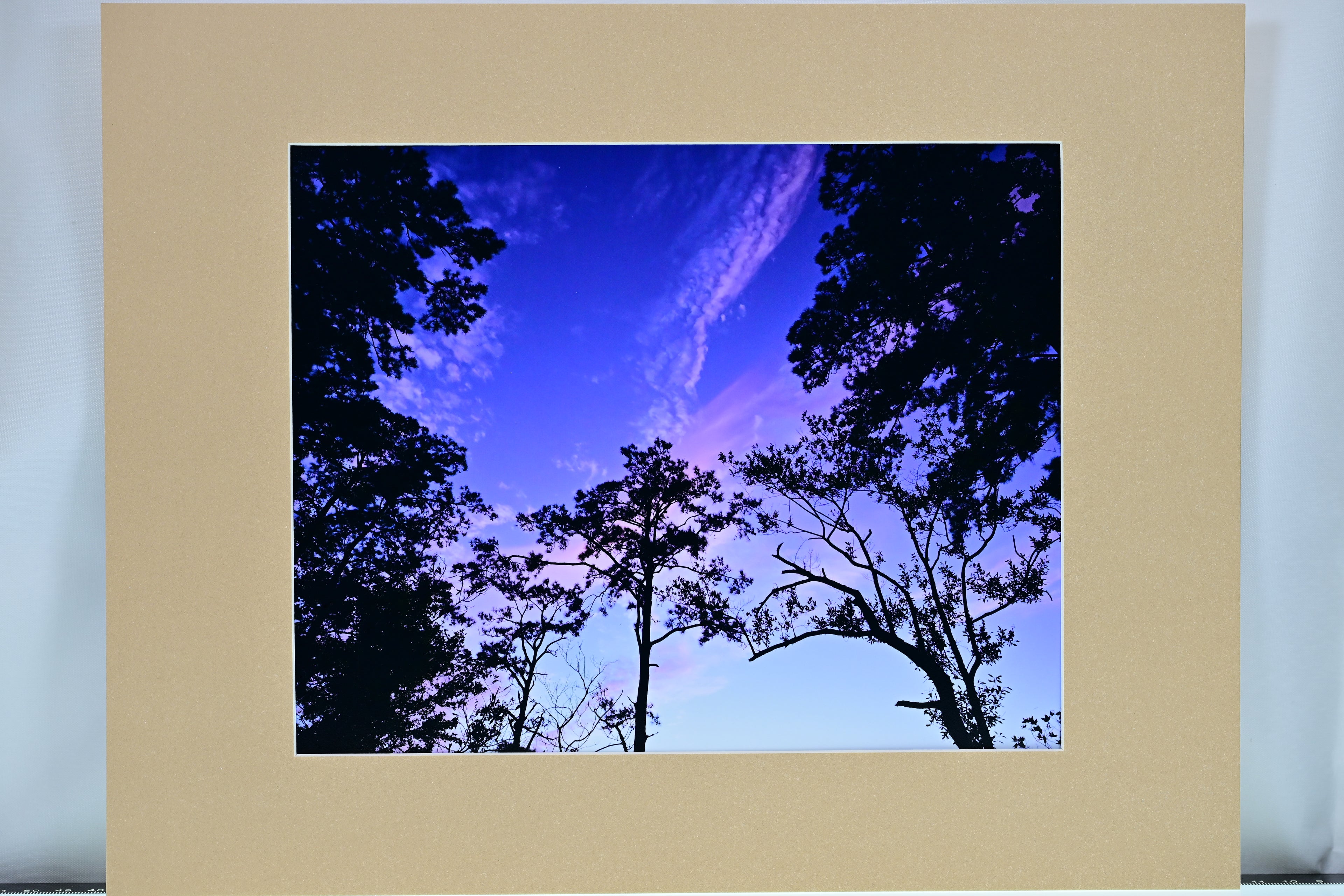 MATTED 8X10 ORIGINAL PRINTS FREE SHIPPING TRAVEL PRINTS