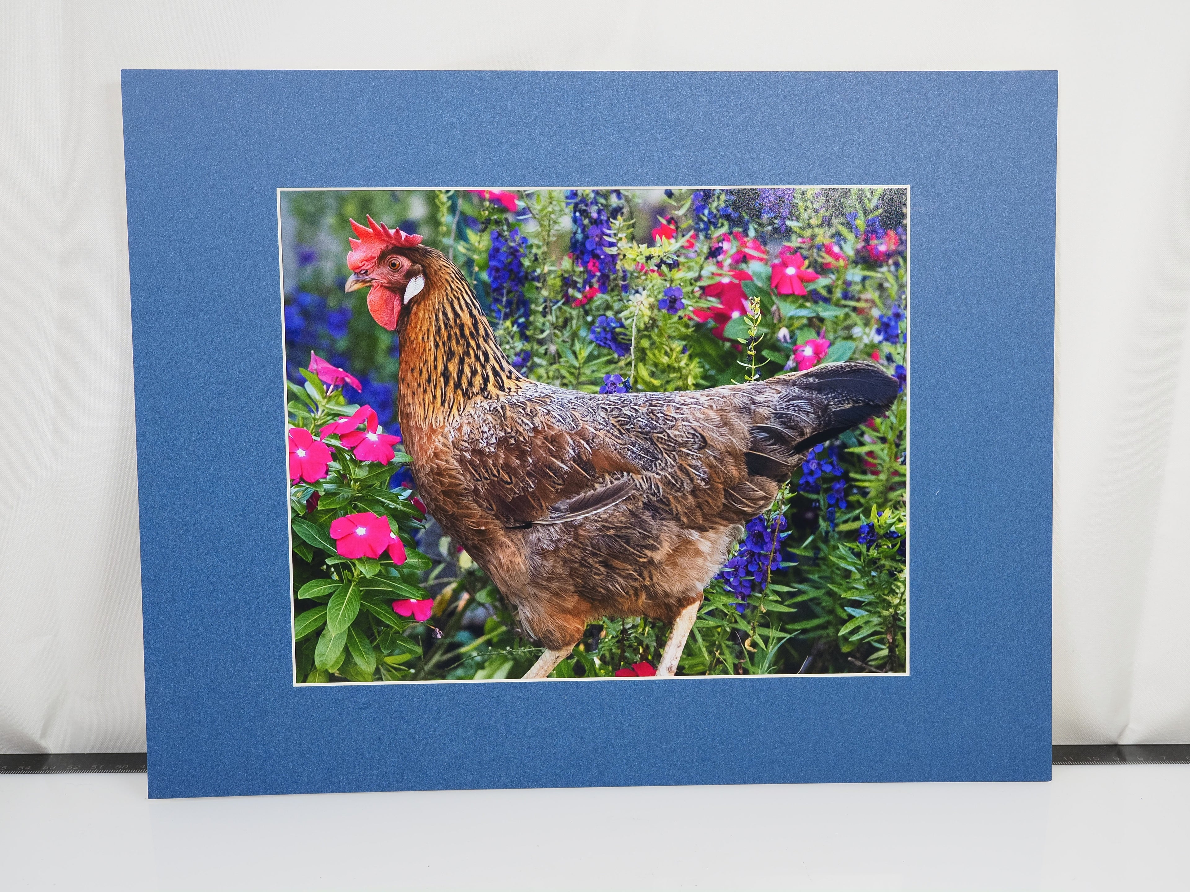 THE CHICKEN SERIES MATTED 8X10 ORIGINAL PRINTS